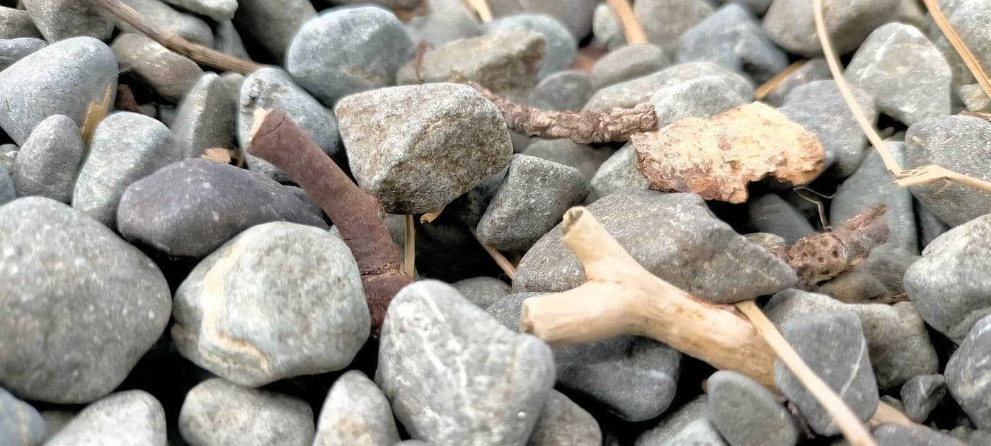 Sticks and stones on the ground